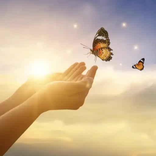 faya